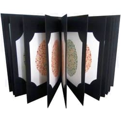 Saiish Ishihara Test Chart Books for Color Deficiency 24 Plates | Latest Edition with User Manual