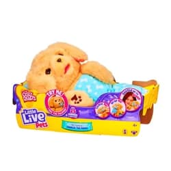 Little Live Pets - Cozy Dozys: Charlie The Puppy | Interactive Plush Toy Dog. 25+ Sounds and Reactions. Magical Eye Movement. Blanket, Pacifier and Batteries Included. for Kids Ages 4+.