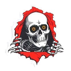 AMFLOWER Powell-Peralta Ripper Skateboard Sticker - 5 Inch Sticker Graphic - Auto Wall Laptop Cell phone Bumper Window Decal Sticker