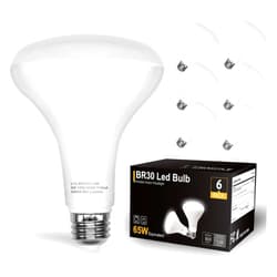 DAYBETTER BR30 LED Light Bulbs Indoor Flood Light, 6Pack 5000K Daylight White LED Bulb 65W Equivalent, Dimmable, E26 Base, 800LM, LED Recessed Can Bulb for Living Room Bedroom Dining Room Bathroom