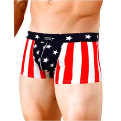 NEPTIO Men's USA Flag Pouch Brief Trunk American Flag Swimsuit