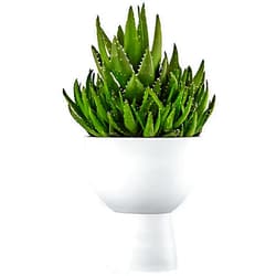 Luxeporch Large Planter with Stand - Mid Century Modern Indoor Outdoor Pot with Drainage Hole with Plug, Eco-Friendly, Recycled Plastic, Weatherproof, Self-Watering, UV Resistant for Plant - White