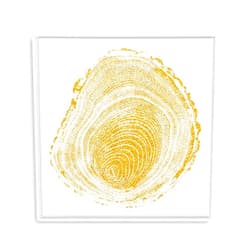 SIGNFORD Framed Canvas Home Artwork Decoration Annual Ring Canvas Wall Art for Living Room, Bedroom - 16x16 inches