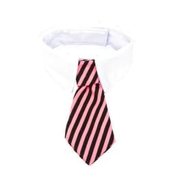 ZTON Pet Bowtie, Handcrafted Adjustable Formal Collar Neck Tie for Dogs & Cats (S, Black Stripe)