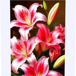GEMOUJ 5D Diamond Art Kits for Adults,Lily Flower Diamond Painting Kits for Adults Beginners,DIY Full Drill Round Gem Art with Diamond dots for Adults,Home Wall Decor 12 X 16 Inch