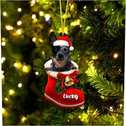 NAZENTI Personalized Blue Heeler 1 Ornament, Blue Heeler Christmas Ornament, Dog in Santa Boot, Dog Christmas Ornaments, Dog Ornament