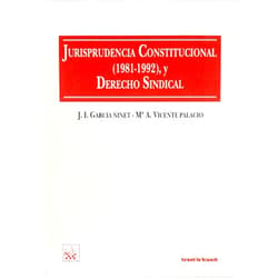 José Ignacio García Ninet,María Arántzazu Vicente Palacio Jurisprudencia Constitucional (1981-1992), y Derecho Sindical (Spanish Edition)