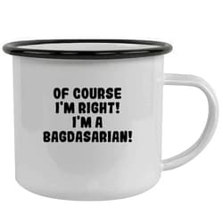 Molandra Products Of Course I'm Right! I'm A Bagdasarian! - Stainless Steel 12Oz Camping Mug, Black