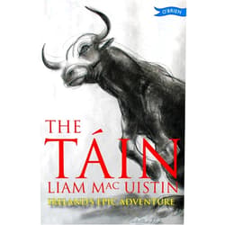 Liam Mac Uistin,Donald Teskey The Táin: Ireland's Epic Adventure