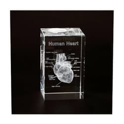 Ultrassist 3D Human Heart Crystal Model, Laser Etched Anatomical Model for Home and Office Decoration, Cardiology Gifts