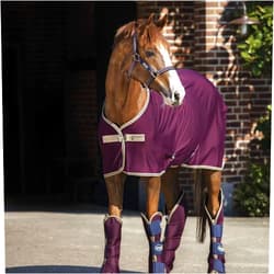 Horseware Ireland Amigo Jersey Horse Cooler Fig/Tan 84