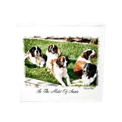 CafePress Saint Bernard Throw Blanket Super Soft Fleece Plush Throw Blanket, 60
