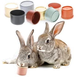 MEWTOGO 8 Pcs Stacking Cups for Rabbits - Multi-Colored Reusable Bunny Toys of Different Sizes, Safe Plastic Nesting Toys for Small Animals Rabbits Bunny Hiding Food and Playing