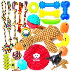KIPRITII Puppy Teething Chew Toys -25 Pack Charming Puppy Toys Dog Chew Toys with Rope Toys, Dog Treat Balls & Dog Squeaky Toy for Puppy and Small Dogs