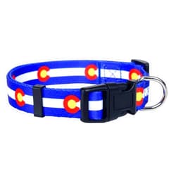 Native Pup Colorado State Flag Dog Collar (Colorado Blue, Large)