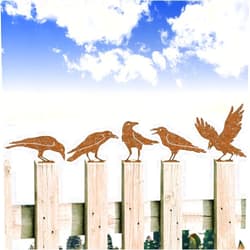 Tzbqrdj 5PCS Rusty Birds Decoration, Outdoor Fence Decorations, Lifelike Metal Birds Silhouette Craft Statue Ornaments Funny Bird Decor Garden Yard Art, Fence Topper Balcony Decor (Raven)