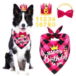 SZEE Dog Birthday Party Supplies, Set of 4 Dog Birthday Decorations with Bow Tie, Crown Dog Birthday Hat with Numbers for Medium and Small Dogs, Dog Birthday Outfit for Birthday Party (Pink)