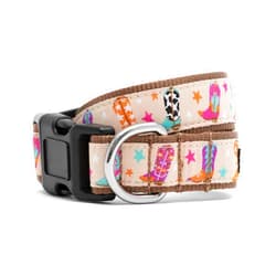 THE WORTHY DOG Everyday Wild Wild West Collar – Comfortable, Durable Nylon Webbing with Woven Ribbon, Strong Quick-Release Buckle & Nickel-Plated D-Ring – Biege, Medium