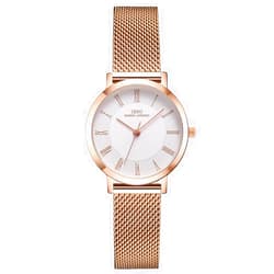 IBSO BOERNI AIBISINO Women Stainless Steel Band Watches Ladies Quartz Wristwatches Waterproof Mesh Bracelet Watch Relogio Feminino (3636 Rose Gold)