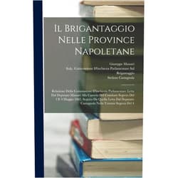 Giuseppe Massari,Stefano Castagnola,Italy Commissione d'Inchiesta Parlam Il Brigantaggio Nelle Province Napoletane: Relazione Della Commissione D'inchiesta Parlamentare Letta Dal Deputato Massari Alla Camera Del Comitato ... Nella Tornata Segreta Del 4 (Italian Edition)