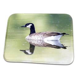 3dRose Bathroom Bath Rug Mat - USA, Ogle County, Illinois, Canada Goose Floating on Rock River Birds