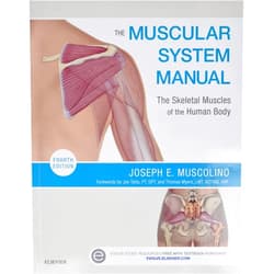 Joseph E. Muscolino DC The Muscular System Manual: The Skeletal Muscles of the Human Body