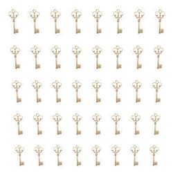 Ruwado 50 Pcs Keys Pendants Beading Supplies Vintage Metal Mini Key Charms for DIY Jewelry Making Kit Handmade Necklace Bracelet Key Ring Chain Earring Party Decoration