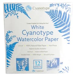 Cyanotype 6