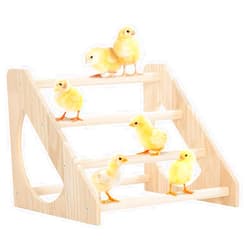 PETSFIT Chick Perch Prevent Rotation Design, Strong Wooden Chicken Roosting Bar, Easy to Assemble and Clean, Fun Toys for Chick Indoor/Outdoor Use