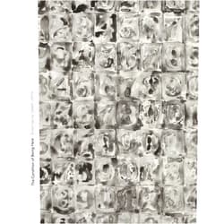 David Breslin The Condition of Being Here: Drawings by Jasper Johns (Menil Drawing Institute Series)