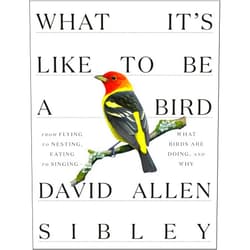 By David Allen Sibley (Author) What It's Like to Be a Bird: From Flying to Nesting, Eating to Singing--What Birds Are Doing, and Why (Sibley Guides)