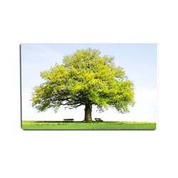 VIUBGCPS Canvas Print Pictures Wall Art Painting Single Old Oak Tree with Benches on Meadow in Spring Framed & Stretched Posters Ready to Hang Home Decor Artworks - 20x32inch
