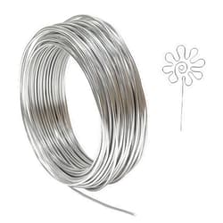 Tenn Well 12 Gauge Aluminum Wire, 100 Feet 2mm Bendable Metal Craft Wire for Sculpting, Armature, Jewelry Making, Floral Making, Doll Making, Modelling, Crafting, Bonsai Training