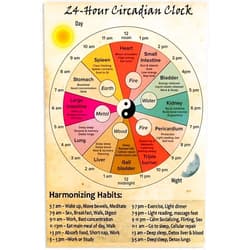 Sebary Vintage Tin Sign 24 Hour Circadian Clock Organ Clock Unframed Knowledge Wall Art Chinese Medicine Healthy Art 8x12 Inch Cafe School Decor