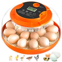 Onsju 18 Egg Incubator with Automatic Egg Turning and Humidity Control, Incubators for Hatching Eggs, Chicken, Ducks, Goose, Pigeon, Quail, Parrot Incubator for Farm, Lab, Science Classroom, Home (Orange)