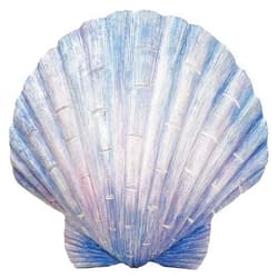 World of Wonders Gifts World of Wonders - Ocean Harmony Series - Captiva - Elegant Scallop Seashell Wall Sculpture Hand-Painted Easy Mount Beach House Shabby Chic Sea Life Marine Nautical Home Decor Accent, 8.5-inch