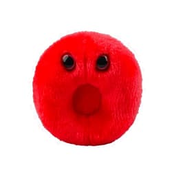 GIANT MICROBES GIANTmicrobes Red Blood Cell Plush, Blood Cell Plush, Blood Bank Laboratory Gifts, Lab Tech Gifts, Hematology Gifts, Leukemia Gifts, Phlebotomy Gifts, Phlebotomist Gifts