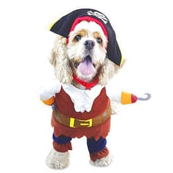 NACOCO Pet Dog Costume Pirates of The Caribbean Style (Medium)