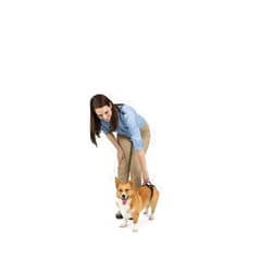 PetSafe CareLift Rear Support Harness - Lifting Aid with Handle - Great for Pet Mobility and Older Dogs - Comfortable, Breathable Material - Easy to Adjust - Small, Red