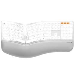 ProtoArc Backlit Wireless Ergonomic Keyboard, EK01 Plus Full Size Ergo Keyboard with Wrist Rest, Split, Rechargeable, Bluetooth and USB, Natural Typing Compatible with Windows/Mac/Android, White