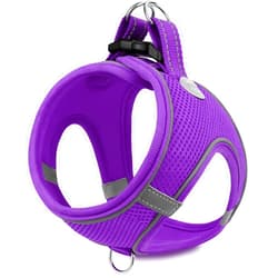 Joytale Small Dog Harness, Breathable Mesh Step-in Vest, Reflective Soft Padded Harnesses for Small and Medium Dogs, Purple, M