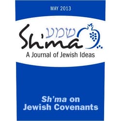 By Ruth Abusch-Magder (Author), Shawn Israel Zevit (Author), Julie Aronowitz (Author), Margie Klein (Author), Toba Spitzer (Author), Joy Ladin (Author), Sheila Peltz Weinberg (Author), Laurie Zimmerman (Author), Asher Lopatin (Author), Susan Berrin (Editor) & 6 more Format: Kindle Edition Jewish Covenants (Sh'ma Journal: Independent Thinking on Contemporary Judaism Book 43)
