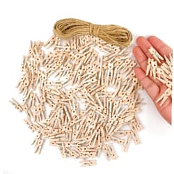 KTOJOY Mini Wooden Clothes Pins, 100 Pack, 1.4 Inch, Mini Natural Birchwood ClothesPins with 33 FT Jute Twine, Heavy Duty Moisture Resistant Clothes Pegs for Craft, Pictures, Arts, Cocktails