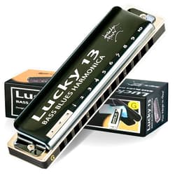 East top Lucky 13 Bass Plus Blues Harmonica 13 Holes Diatonic Harp Mouth Organ Professional Richter harmonica G key for Adults
