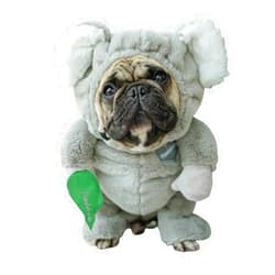 Pandaloon Pet Costume - As Seen on Shark Tank - Patented - Funny Costume with Arms for Small and Medium Dogs and Cats (Koala, Size 3(17-19 in Height at TOP of Head,Girth<22 in))