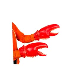 Accoutrements Archie McPhee Accoutrements Giant Lobster Claws