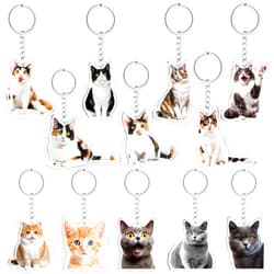 Neptniopllab 12Pcs Cat Keychains Cute Funny Cat Keychains Emotion Cat Charm Keyrings Kawaii Cats Charm Keychain for Purse Wallet Cat Lover Gift