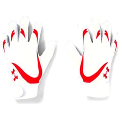 Under Armour Womens Motive 20 Softball Gloves