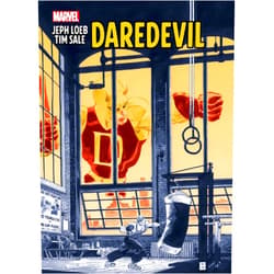 Jeph Loeb,Tim Sale JEPH LOEB & TIM SALE: DAREDEVIL GALLERY EDITION (Daredevil Yellow)