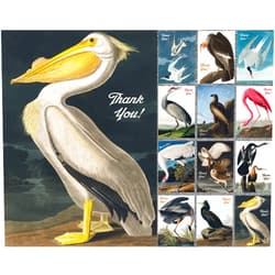 PIXILUV PELICAN AND OTHER LARGE BIRDS ~ 12 Thank You Cards with envelopes ~ Vintage Postcards and Botannical Book Illustrations Reprint